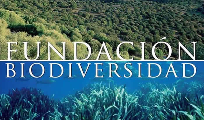Fundación biodiversidad