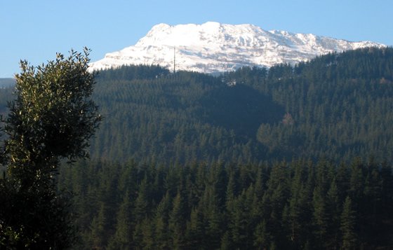 Parque natutral del Gorbea