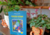 Green Home, guía para plantas de interior