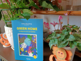 Green Home, guía para plantas de interior