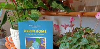 Green Home, guía para plantas de interior