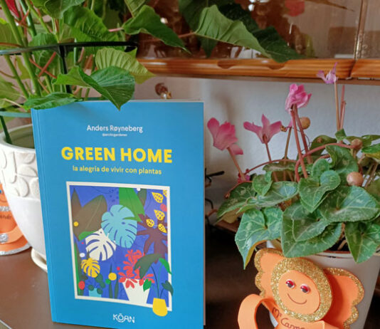 Green Home, guía para plantas de interior