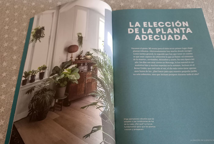 Green Home, guía para plantas de interior