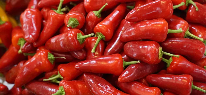 Guindillas rojas