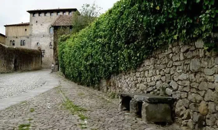 Hiedra como planta trepadora sobre un muro de piedra
