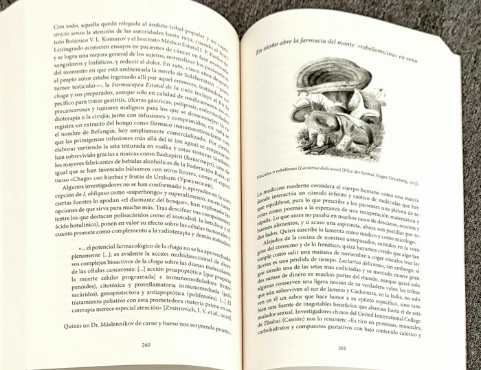 Página de la Historia de las setas