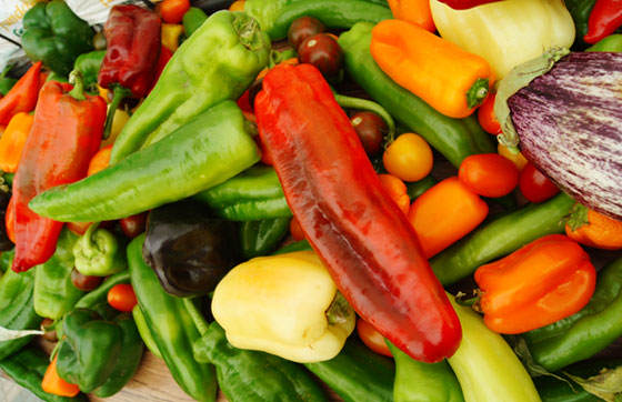 La voz, la alimentación y la logopedia