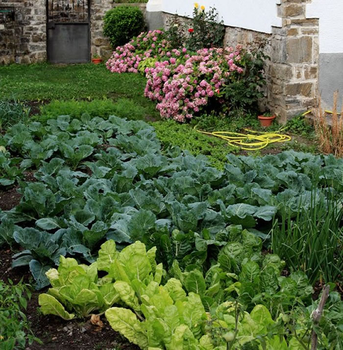 huerto en jardin