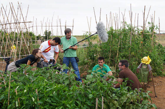 Huerto urbano de Fernando por televisión