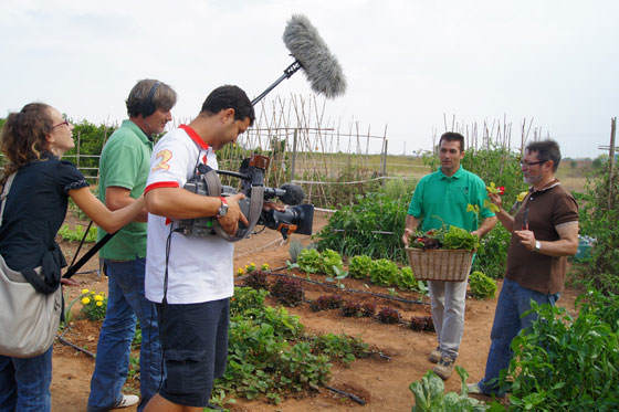 Huerto urbano de Fernando por televisión