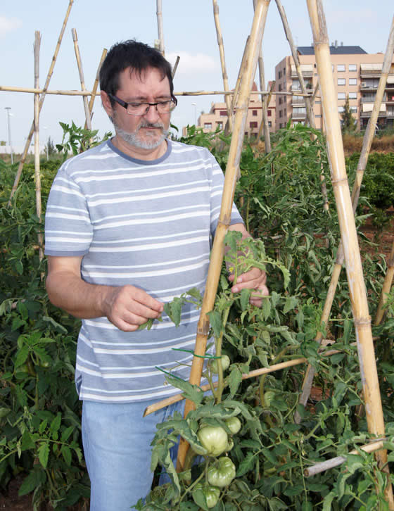 El huerto urbano de Fernando