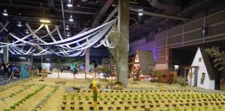 El huerto urbano en Expojove Valencia