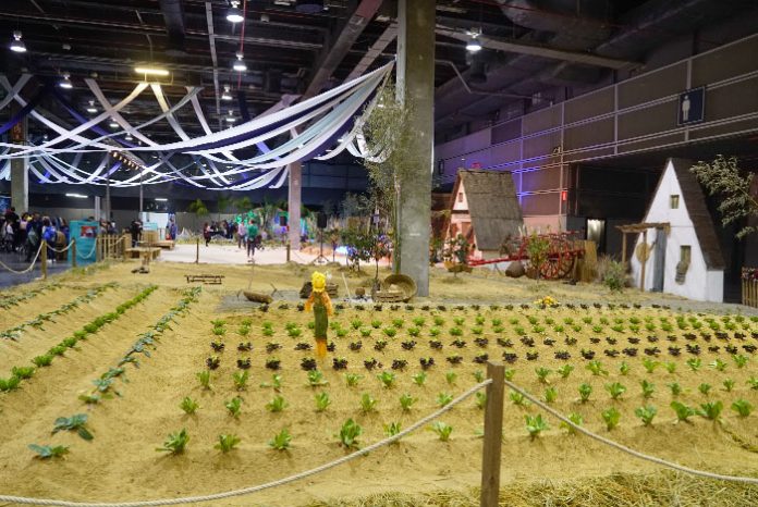 El huerto urbano en Expojove Valencia