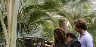 Iberflora 2019