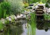 Jardines acuáticos
