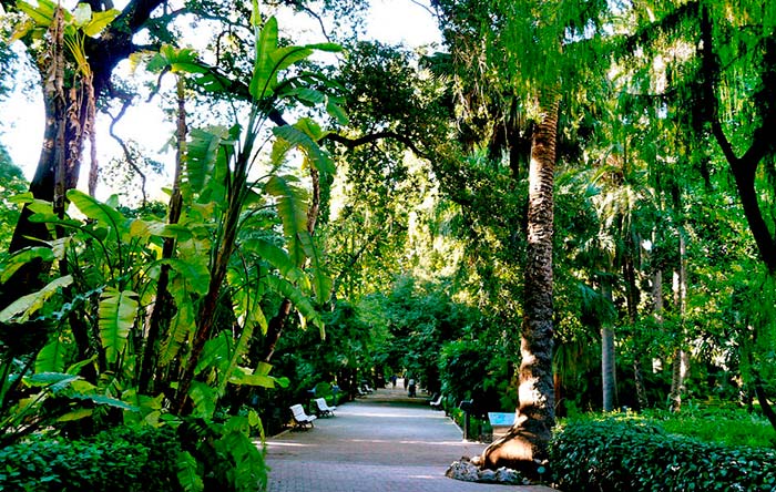 Jardín Botánico de Valencia