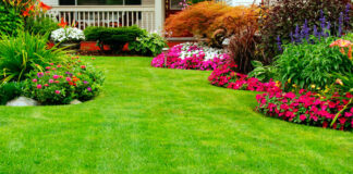 Jardín con césped en verano