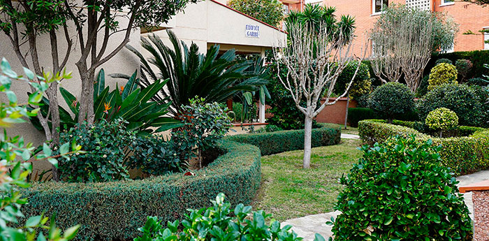Jardín con plantas de exterior
