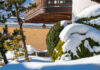 El jardín durante el invierno