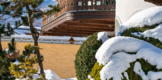 El jardín durante el invierno