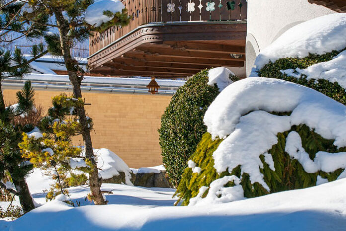 El jardín durante el invierno