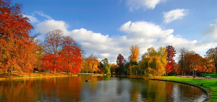 Por qué las hojas cambian de color en otoño