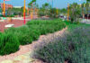 Jardines de kilómetro 0