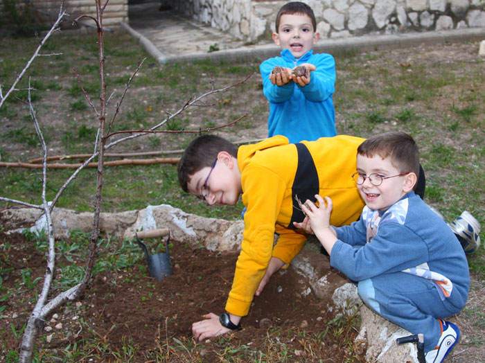 Jan, Jordi y Magí, plantando bulbos de Tulipán