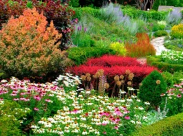 Jardines con plantas perennes y vivaces