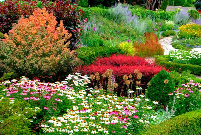 Jardines con plantas perennes y vivaces