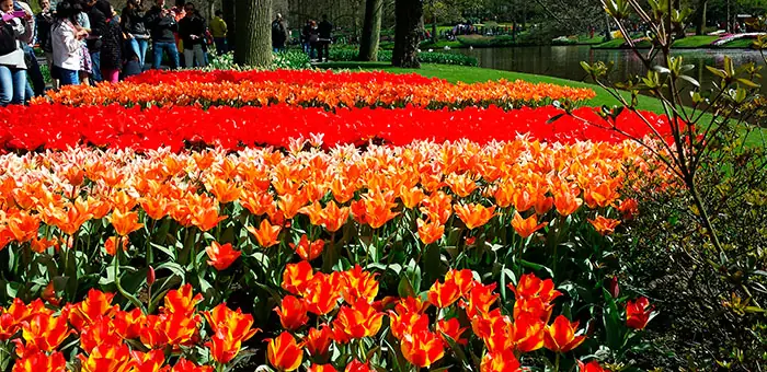 Jardines de Keukenhof con bulbosas en flor