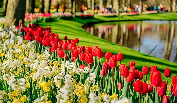 Jardines de Keukenhof con bulbosas en flor