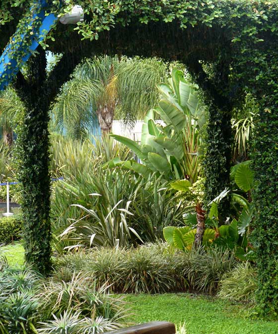 Jardines del Parque Oceanográfico