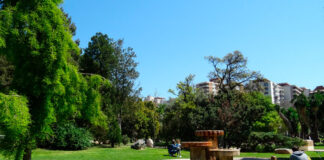 Jardines urbanos