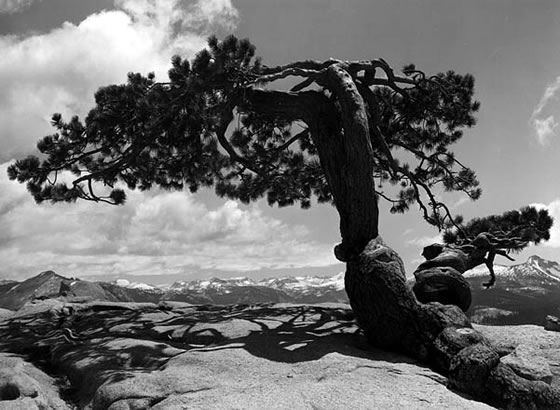 Ansel Adams