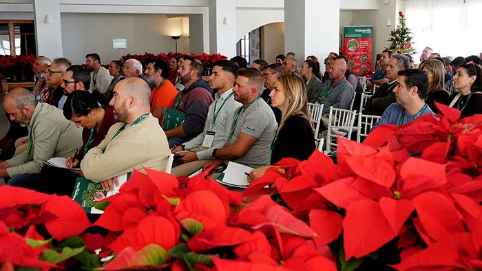 Jornada del Día da Poinsettia Jornada del Día da Poinsettia