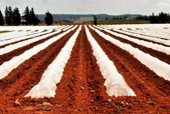 Jornadas sobre plásticos y economía circular