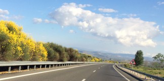 Jornada sobre Carreteras y Vegetación
