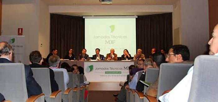 jornadas mdf valencia