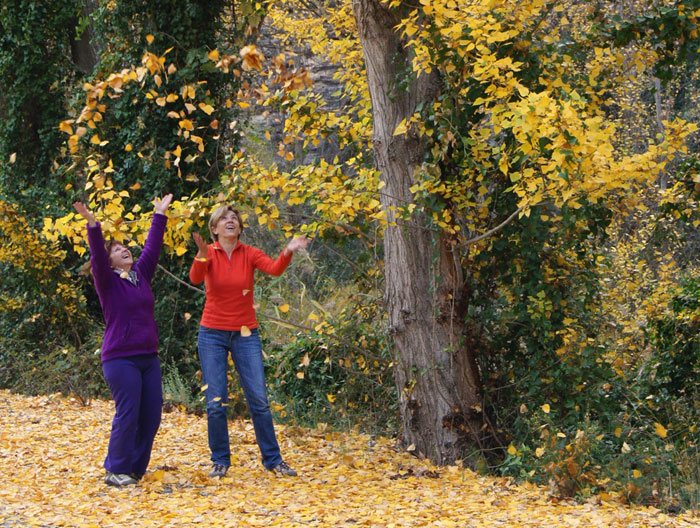 Por qué las hojas cambian de color en otoño