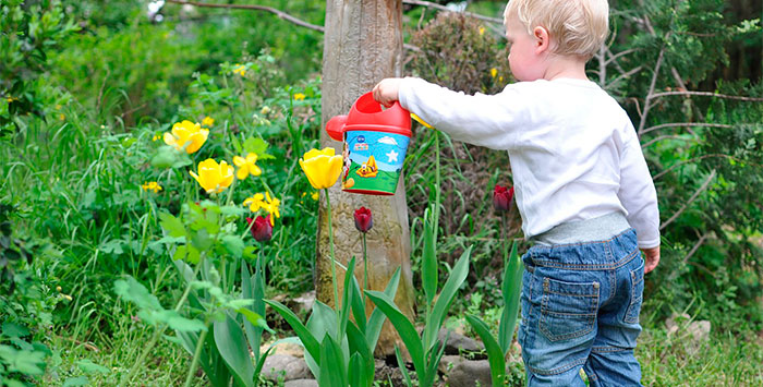 La cultura del riego en el jardín