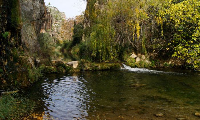 La Puente Alta