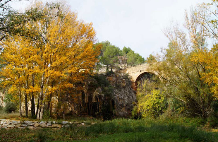 La Puente Alta