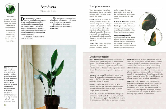 Libro de William Davidson, Plantas de Interior