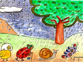 Lluvia jardin 1