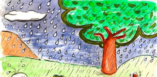 Lluvia jardin 1