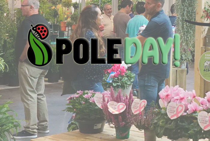 PoleDay