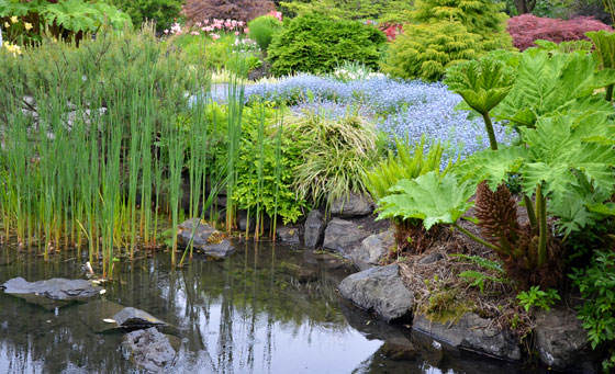 Estanques informales