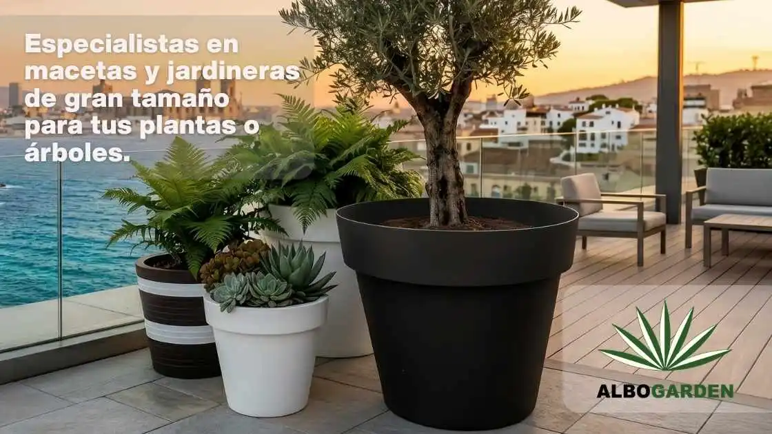 Venta de macetas de gran formato