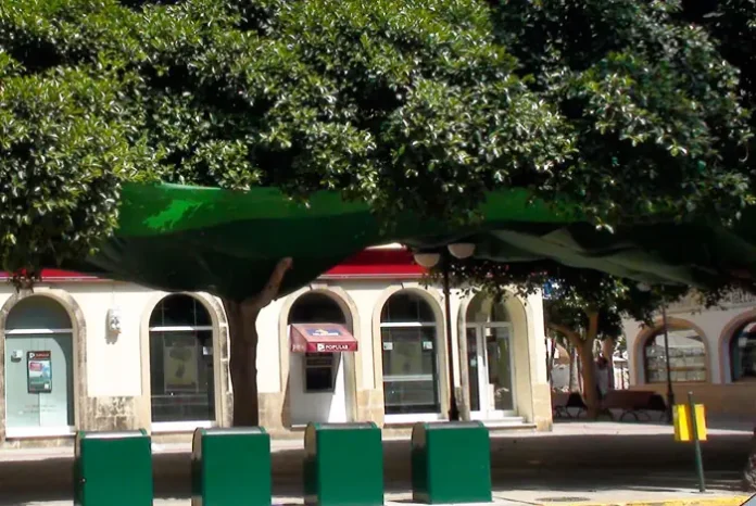 Mallas agrícolas para arbolado